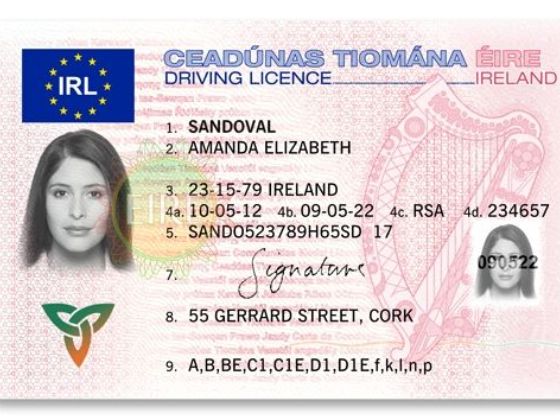 IRISH DRIVER’S LICENSE