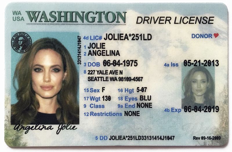 USA DRIVER’S LICENSE